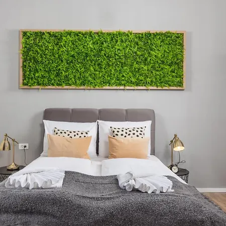 Daire & One World Rijeka